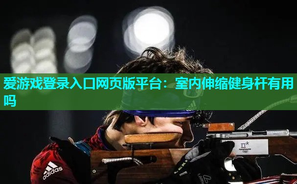 爱游戏登录入口网页版平台：室内伸缩健身杆有用吗