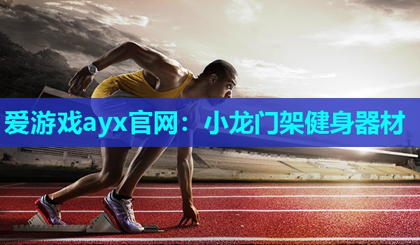 爱游戏ayx官网：小龙门架健身器材