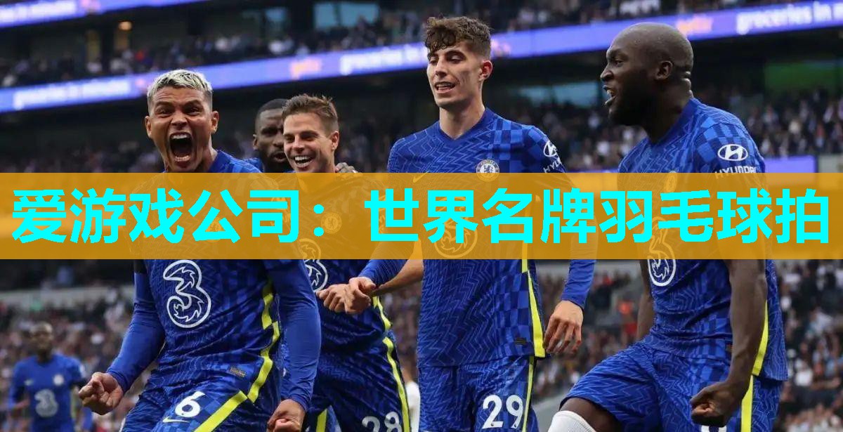 爱游戏公司：世界名牌羽毛球拍