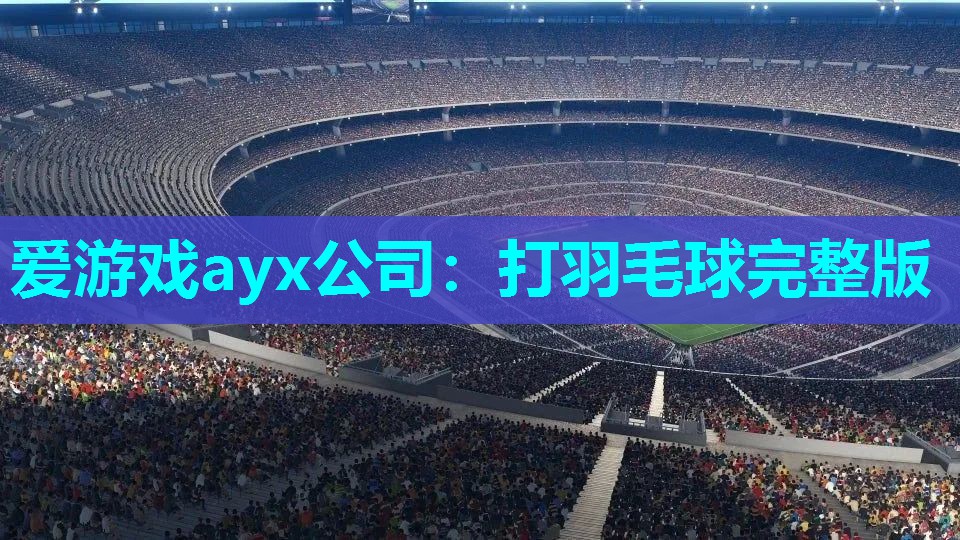 爱游戏ayx公司：打羽毛球完整版