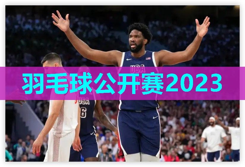 羽毛球公开赛2023