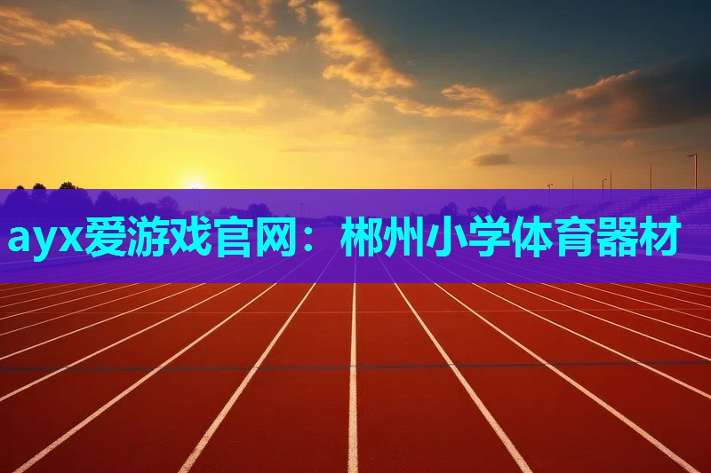 ayx爱游戏官网：郴州小学体育器材