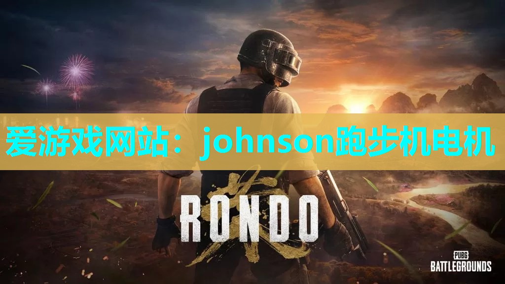 爱游戏网站：johnson跑步机电机