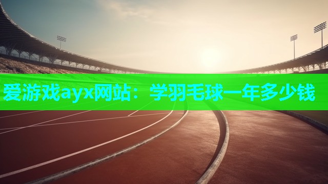 爱游戏ayx网站：学羽毛球一年多少钱