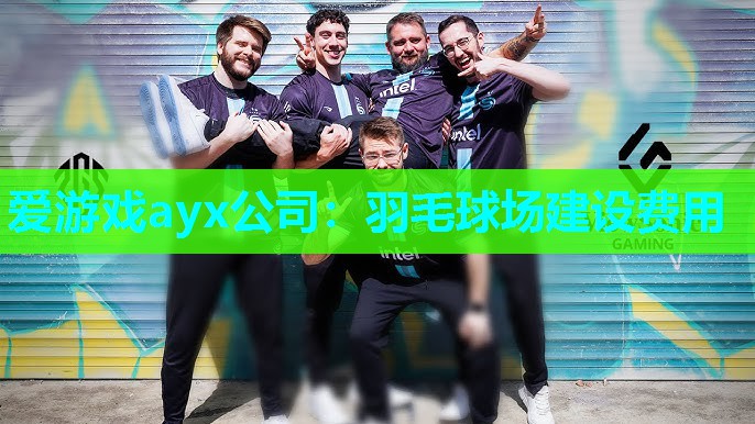 爱游戏ayx公司：羽毛球场建设费用