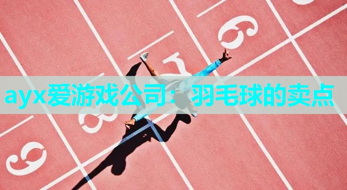 ayx爱游戏公司：羽毛球的卖点