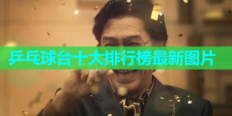 乒乓球台十大排行榜最新图片