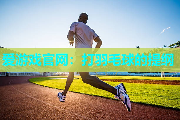 打羽毛球的提纲