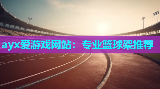 专业篮球架推荐