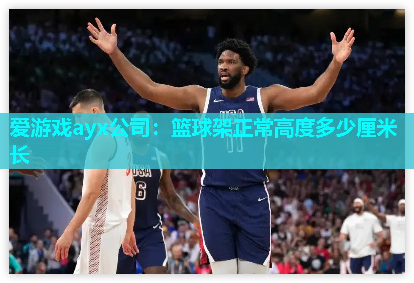 篮球架正常高度多少厘米长