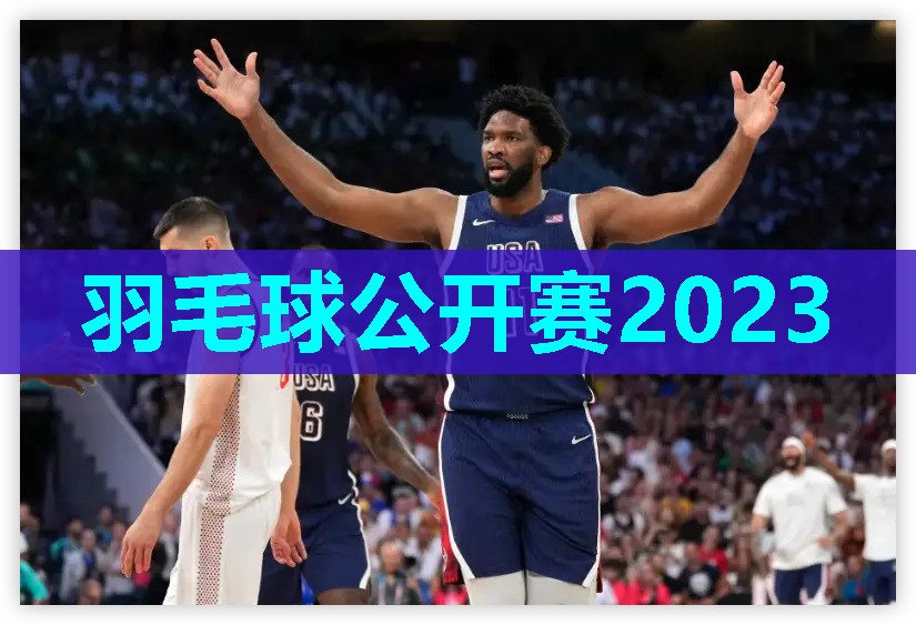 羽毛球公开赛2023